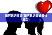 如何起诉离婚(如何起诉离婚最快成功)