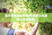 因为手机离婚的案例(有多少夫妻因为手机离婚)