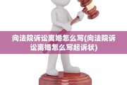 向法院诉讼离婚怎么写(向法院诉讼离婚怎么写起诉状)