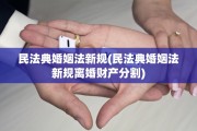 民法典婚姻法新规(民法典婚姻法新规离婚财产分割)