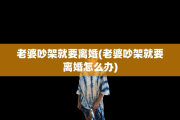 老婆吵架就要离婚(老婆吵架就要离婚怎么办)