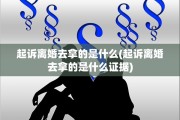 起诉离婚去拿的是什么(起诉离婚去拿的是什么证据)
