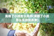 离婚了小孩怎么负担(离婚了小孩怎么负担抚养费)