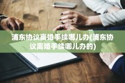 浦东协议离婚手续哪儿办(浦东协议离婚手续哪儿办的)