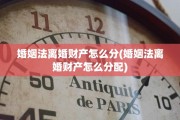 婚姻法离婚财产怎么分(婚姻法离婚财产怎么分配)