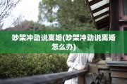 吵架冲动说离婚(吵架冲动说离婚怎么办)