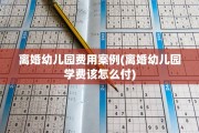 离婚幼儿园费用案例(离婚幼儿园学费该怎么付)