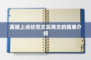 离婚上诉状范文实用文的简单介绍