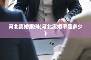 河北离婚案例(河北离婚率是多少)