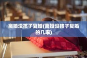 离婚没孩子复婚(离婚没孩子复婚的几率)