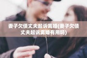 妻子欠债丈夫起诉离婚(妻子欠债丈夫起诉离婚有用吗)