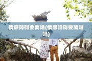 情感障碍要离婚(情感障碍要离婚吗)