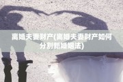离婚夫妻财产(离婚夫妻财产如何分割新婚姻法)