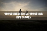借老婆钱离婚怎么办(借老婆钱离婚怎么办理)