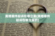 离婚案件起诉在哪立案(离婚案件起诉在哪立案的)