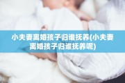 小夫妻离婚孩子归谁抚养(小夫妻离婚孩子归谁抚养呢)