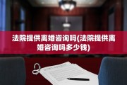 法院提供离婚咨询吗(法院提供离婚咨询吗多少钱)