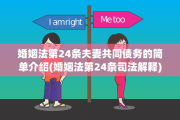 婚姻法第24条夫妻共同债务的简单介绍(婚姻法第24条司法解释)