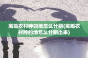 离婚农村种的地怎么分割(离婚农村种的地怎么分割出来)