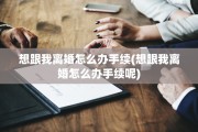 想跟我离婚怎么办手续(想跟我离婚怎么办手续呢)
