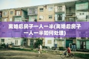 离婚后房子一人一半(离婚后房子一人一半如何处理)