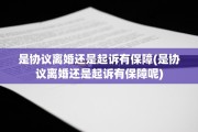 是协议离婚还是起诉有保障(是协议离婚还是起诉有保障呢)