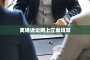 离婚诉讼网上立案填写