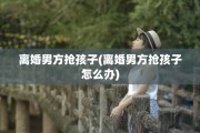 离婚男方抢孩子(离婚男方抢孩子怎么办)