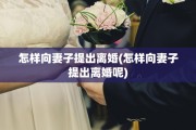 怎样向妻子提出离婚(怎样向妻子提出离婚呢)