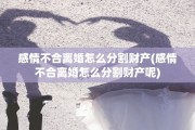 感情不合离婚怎么分割财产(感情不合离婚怎么分割财产呢)