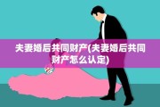 夫妻婚后共同财产(夫妻婚后共同财产怎么认定)