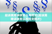 起诉离婚诉状怎么写范文(起诉离婚诉状怎么写范文图片)