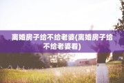 离婚房子给不给老婆(离婚房子给不给老婆看)