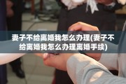 妻子不给离婚我怎么办理(妻子不给离婚我怎么办理离婚手续)