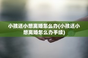 小孩还小想离婚怎么办(小孩还小想离婚怎么办手续)