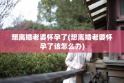 想离婚老婆怀孕了(想离婚老婆怀孕了该怎么办)