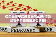 借条是妻子后来离婚怎么还(借条是妻子后来离婚怎么还钱)