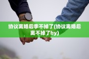 协议离婚后李不掉了(协议离婚后离不掉了by)