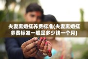 夫妻离婚抚养费标准(夫妻离婚抚养费标准一般是多少钱一个月)