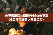 夫妻离婚后共同抚养小孩(夫妻离婚后共同抚养小孩怎么办)