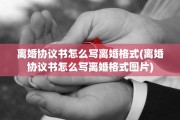 离婚协议书怎么写离婚格式(离婚协议书怎么写离婚格式图片)