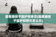 因离婚孩子监护权移交(因离婚孩子监护权移交怎么办)