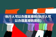 执行人可以办理离婚吗(执行人可以办理离婚吗现在)