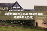 买房后离婚房子怎么办(买房后离婚房子怎么办理)