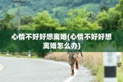 心情不好好想离婚(心情不好好想离婚怎么办)