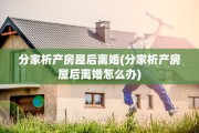 分家析产房屋后离婚(分家析产房屋后离婚怎么办)