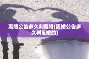 离婚公告多久判离婚(离婚公告多久判离婚的)