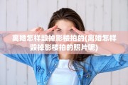 离婚怎样毁掉影楼拍的(离婚怎样毁掉影楼拍的照片呢)