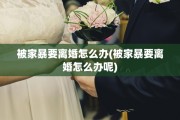 被家暴要离婚怎么办(被家暴要离婚怎么办呢)