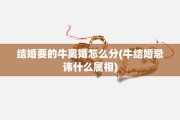 结婚要的牛离婚怎么分(牛结婚忌讳什么属相)